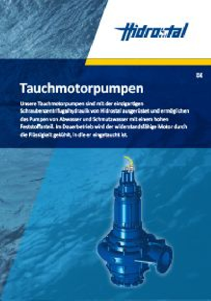 Tauchmotorpumpe